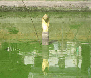 Nag Panchami