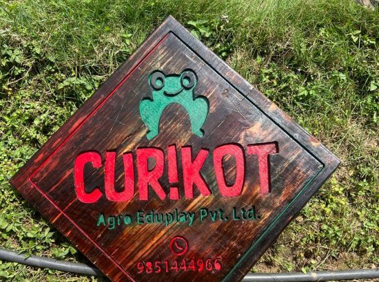 Curikot Agro EduPlay 