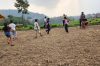 Curikot Agro EduPlay