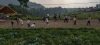 Curikot Agro EduPlay