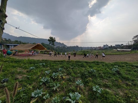Curikot Agro EduPlay 